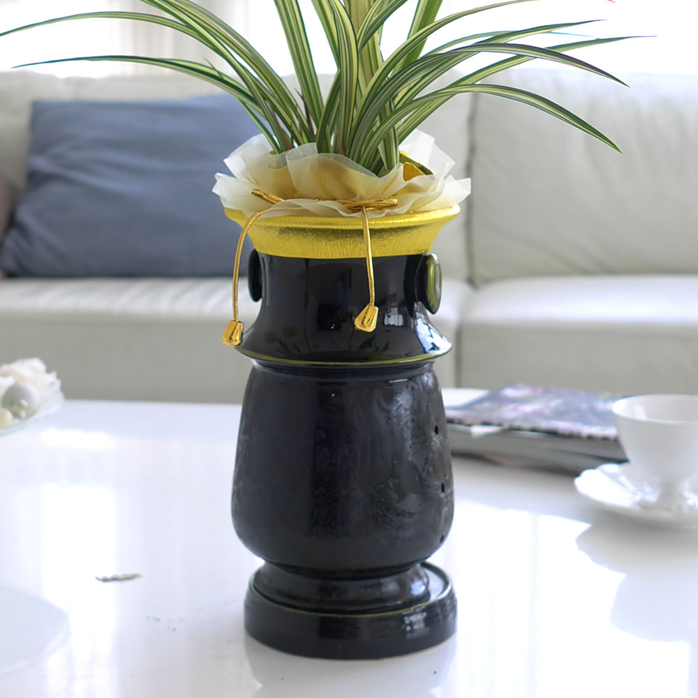 ½Ã¼±À» ¸Ó¹°°Ô ÇÏ´Â ½Ç³» ½Ä¹° - °í±Þ½º·¯¿î ºÐÀ§±â¿¡ µ¿¾ç¶õ(»çÇ×¼ö)