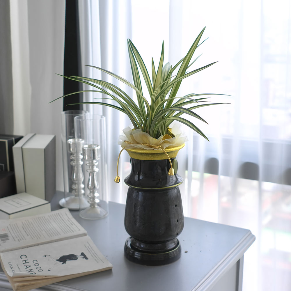 ½Ã¼±À» ¸Ó¹°°Ô ÇÏ´Â ½Ç³» ½Ä¹° - °í±Þ½º·¯¿î ºÐÀ§±â¿¡ µ¿¾ç¶õ(»çÇ×¼ö)