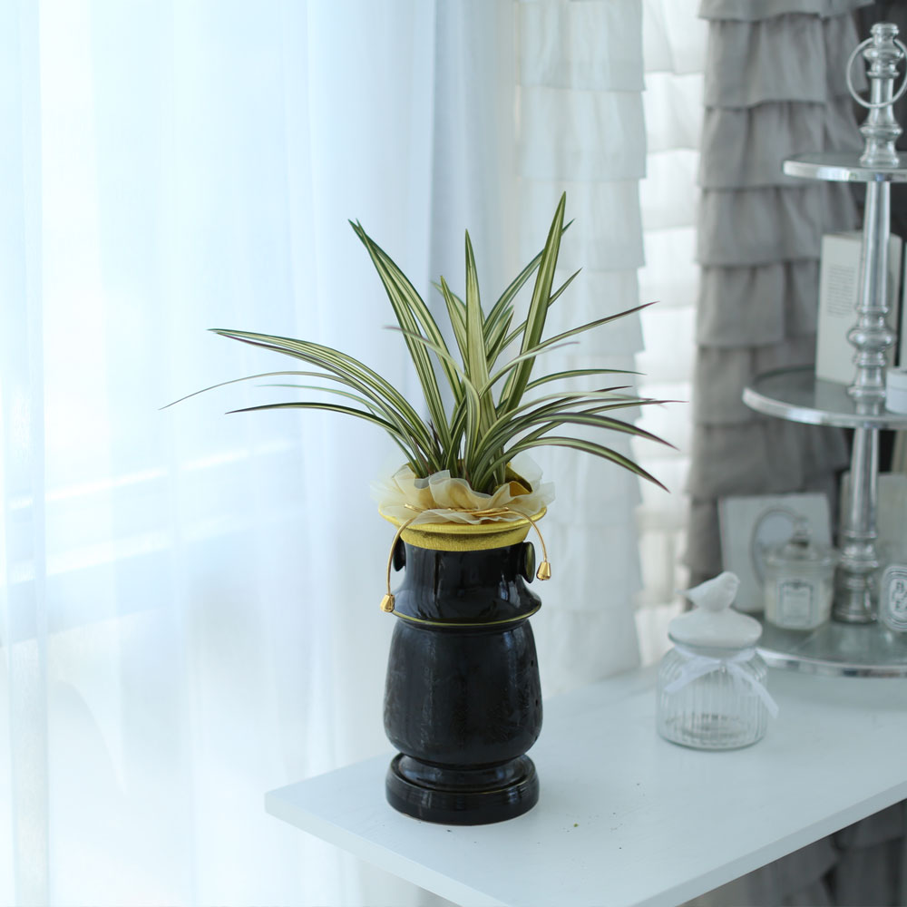 ½Ã¼±À» ¸Ó¹°°Ô ÇÏ´Â ½Ç³» ½Ä¹° - °í±Þ½º·¯¿î ºÐÀ§±â¿¡ µ¿¾ç¶õ(»çÇ×¼ö)