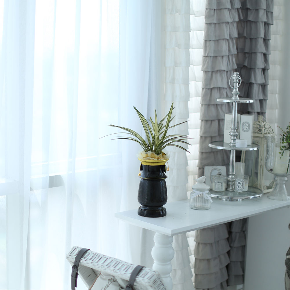 ½Ã¼±À» ¸Ó¹°°Ô ÇÏ´Â ½Ç³» ½Ä¹° - °í±Þ½º·¯¿î ºÐÀ§±â¿¡ µ¿¾ç¶õ(»çÇ×¼ö)