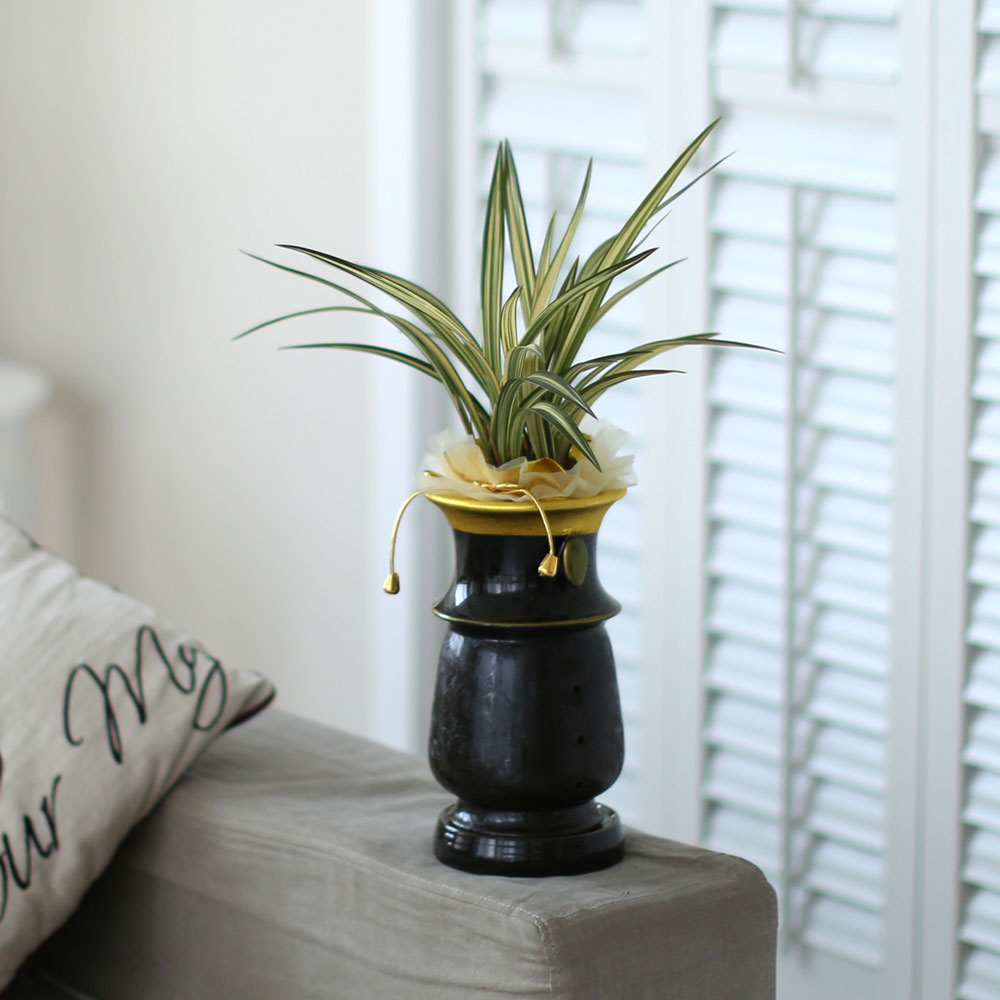 ½Ã¼±À» ¸Ó¹°°Ô ÇÏ´Â ½Ç³» ½Ä¹° - °í±Þ½º·¯¿î ºÐÀ§±â¿¡ µ¿¾ç¶õ(»çÇ×¼ö)