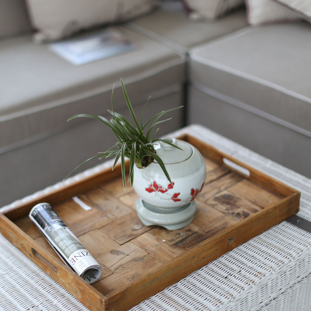 ü ӹ ϴ ǳ Ĺ  -  ׾Ƹ ڱп (õ)  ɹ