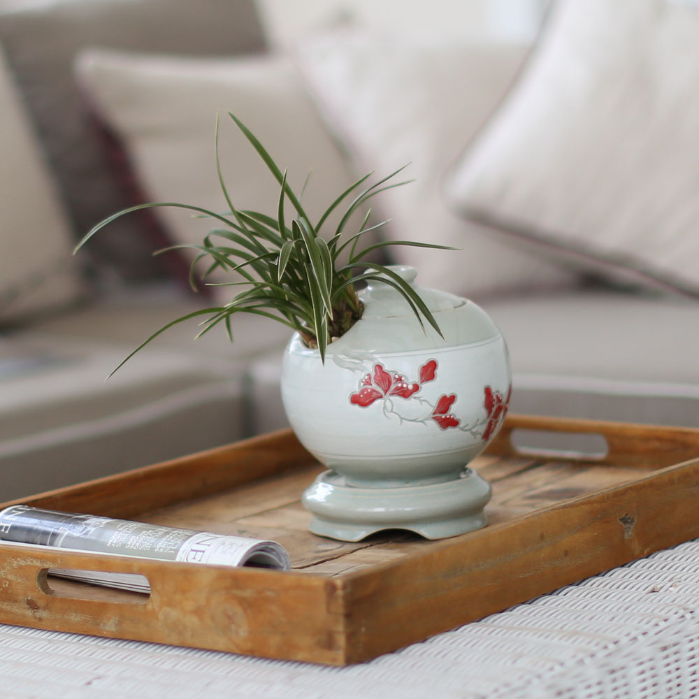 ü ӹ ϴ ǳ Ĺ  -  ׾Ƹ ڱп (õ)  ɹ