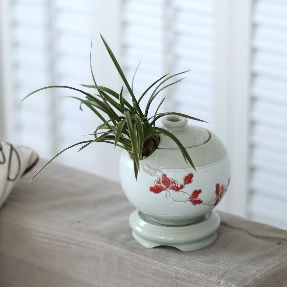 ü ӹ ϴ ǳ Ĺ  -  ׾Ƹ ڱп (õ)  ɹ