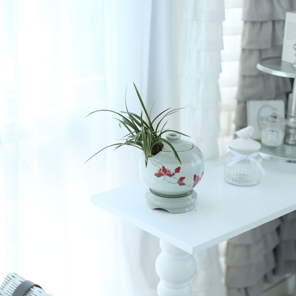 ü ӹ ϴ ǳ Ĺ  -  ׾Ƹ ڱп (õ)  ɹ