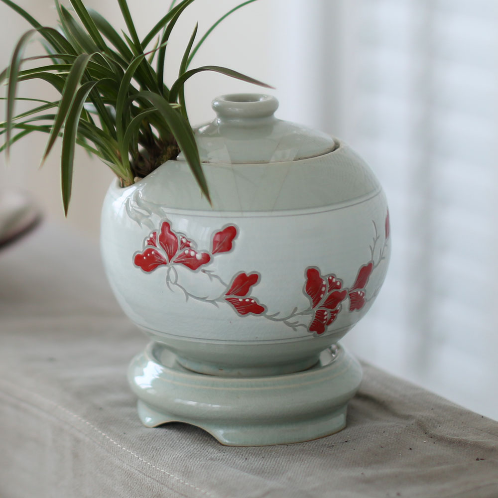 ü ӹ ϴ ǳ Ĺ  -  ׾Ƹ ڱп (õ)  ɹ