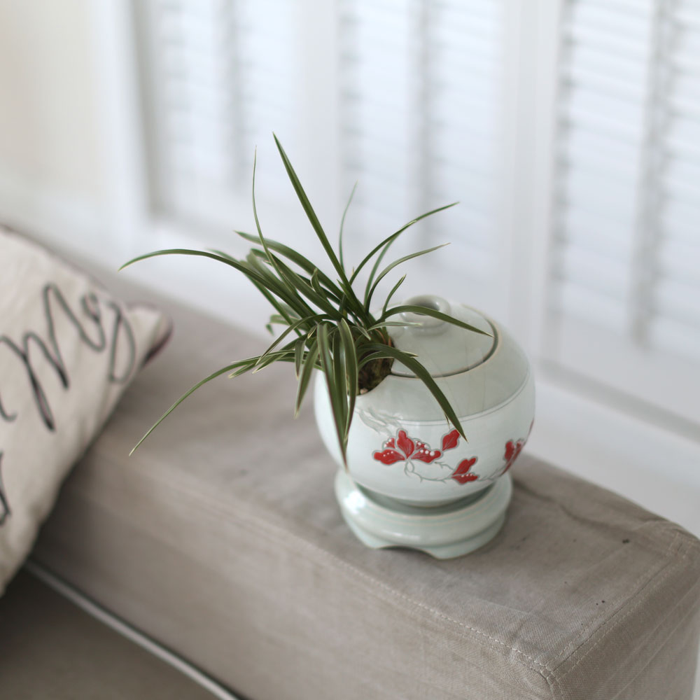 ü ӹ ϴ ǳ Ĺ  -  ׾Ƹ ڱп (õ)  ɹ