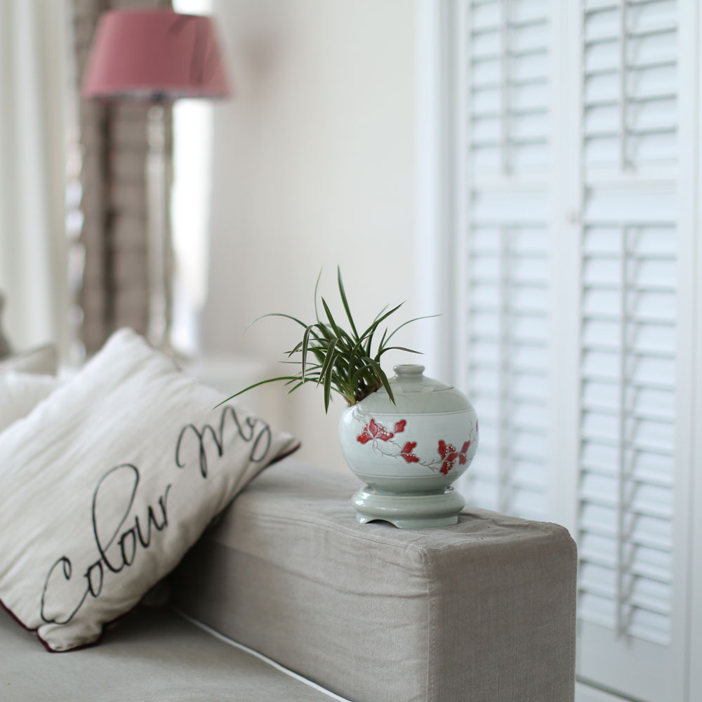 ü ӹ ϴ ǳ Ĺ  -  ׾Ƹ ڱп (õ)  ɹ