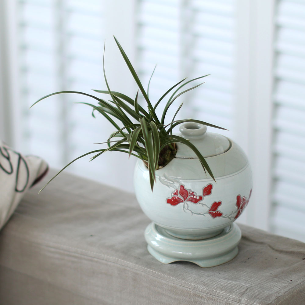 ü ӹ ϴ ǳ Ĺ  -  ׾Ƹ ڱп (õ)  ɹ