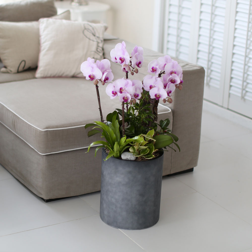 ü ӹ ϴ ǳ Ĺ -  ũȣ(ġũ)  ɹ