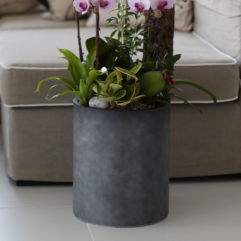 ü ӹ ϴ ǳ Ĺ -  ũȣ(ġũ)  ɹ