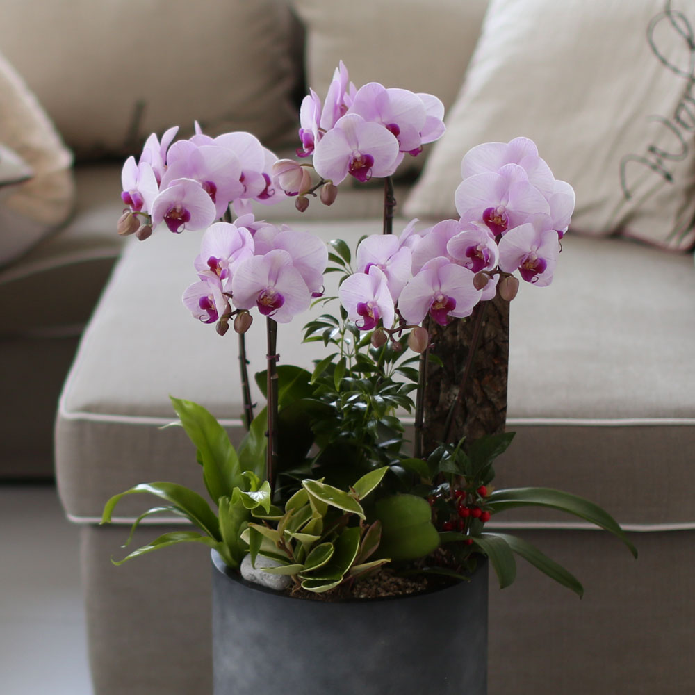 ü ӹ ϴ ǳ Ĺ -  ũȣ(ġũ)  ɹ