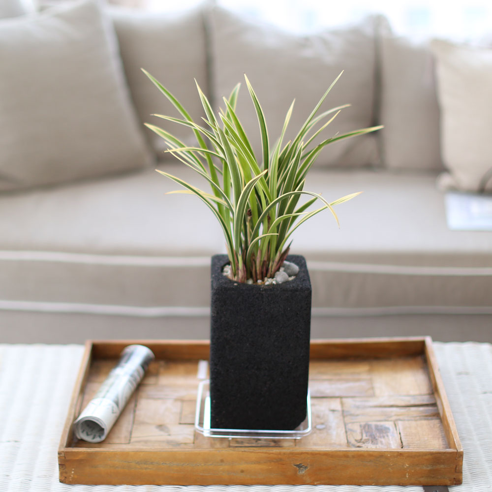 ü ӹ ϴ ǳ Ĺ - Ⱑ ٸ ִ  Ȳ(ȭ)