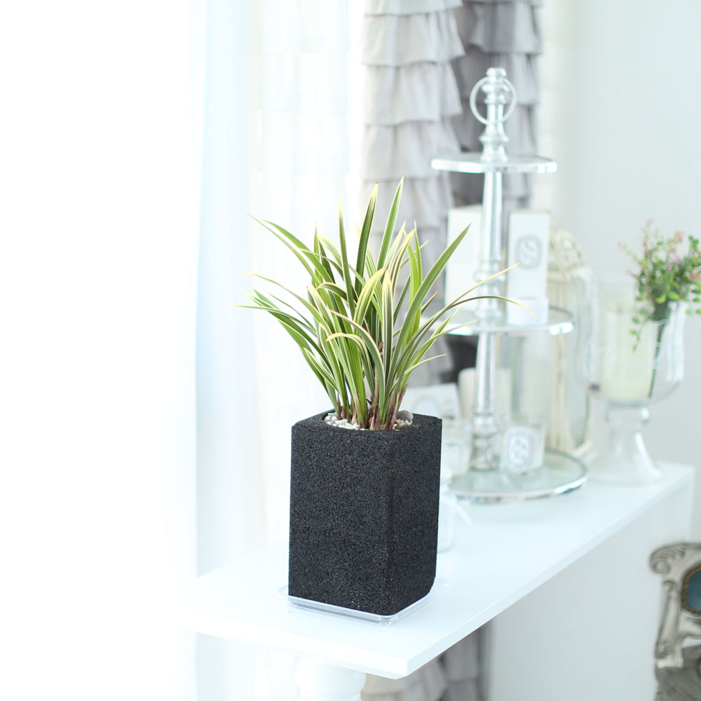 ü ӹ ϴ ǳ Ĺ - Ⱑ ٸ ִ  Ȳ(ȭ)