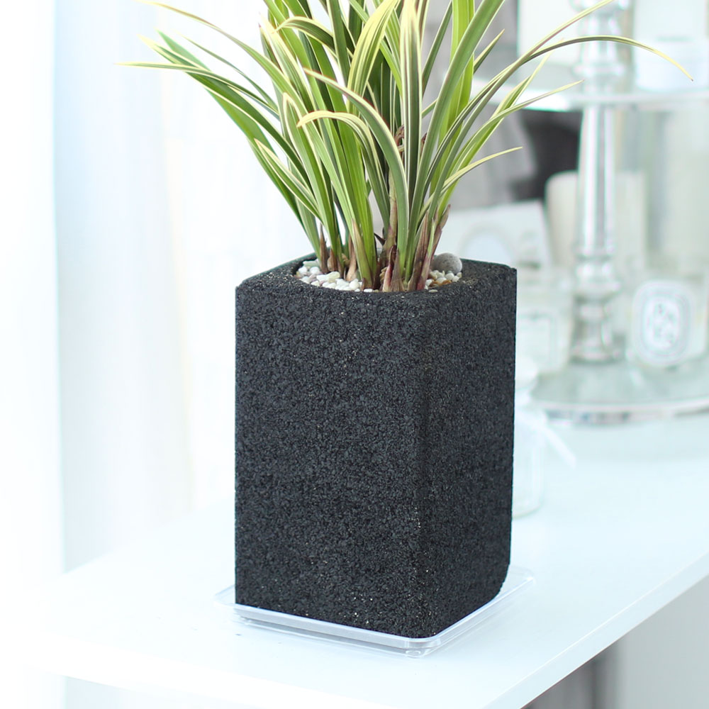 ü ӹ ϴ ǳ Ĺ - Ⱑ ٸ ִ  Ȳ(ȭ)