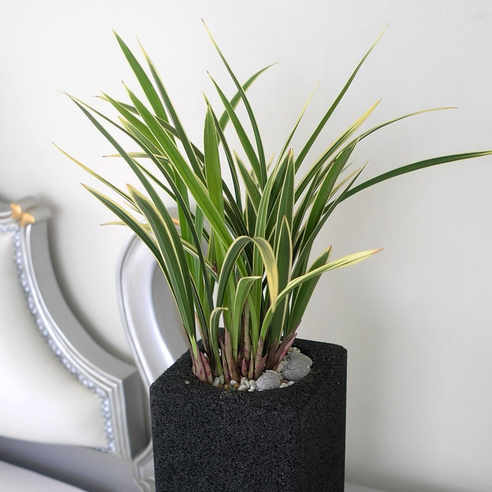 ü ӹ ϴ ǳ Ĺ - Ⱑ ٸ ִ  Ȳ(ȭ)