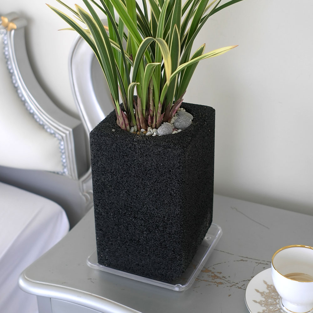 ü ӹ ϴ ǳ Ĺ - Ⱑ ٸ ִ  Ȳ(ȭ)