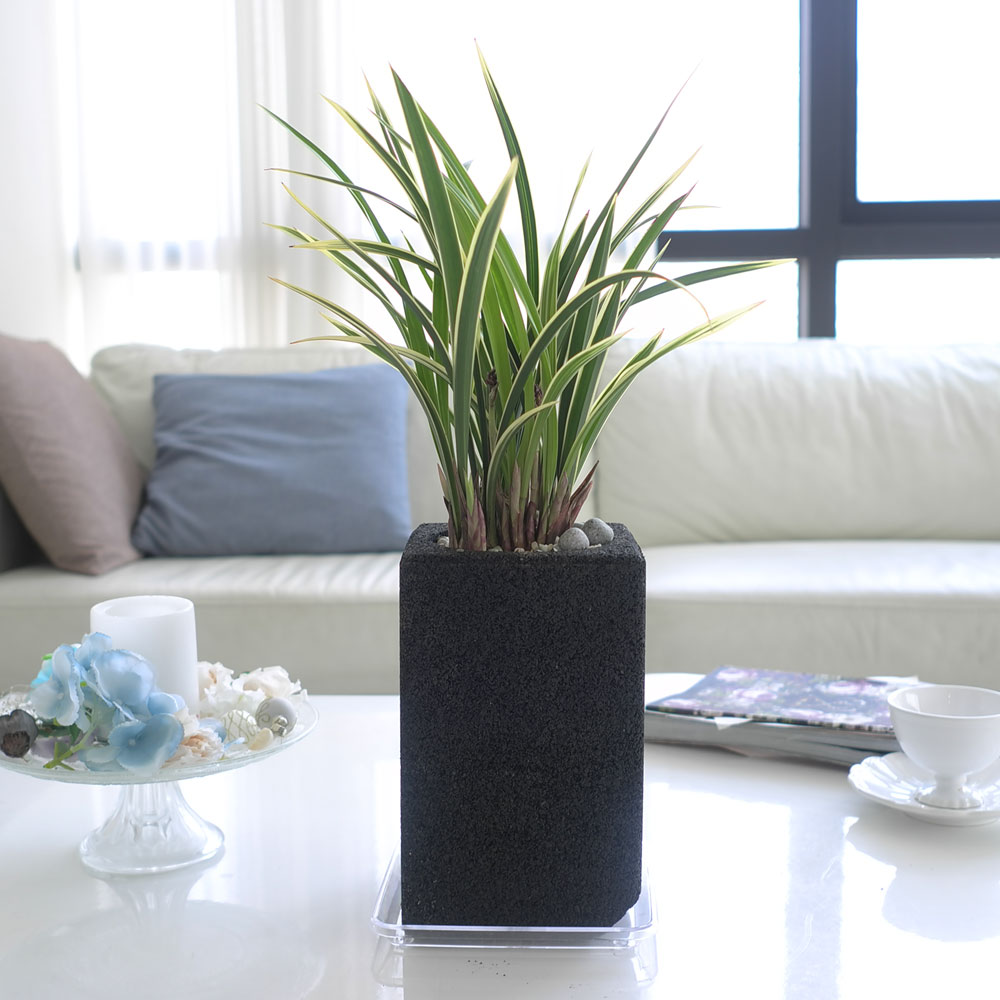 ü ӹ ϴ ǳ Ĺ - Ⱑ ٸ ִ  Ȳ(ȭ)