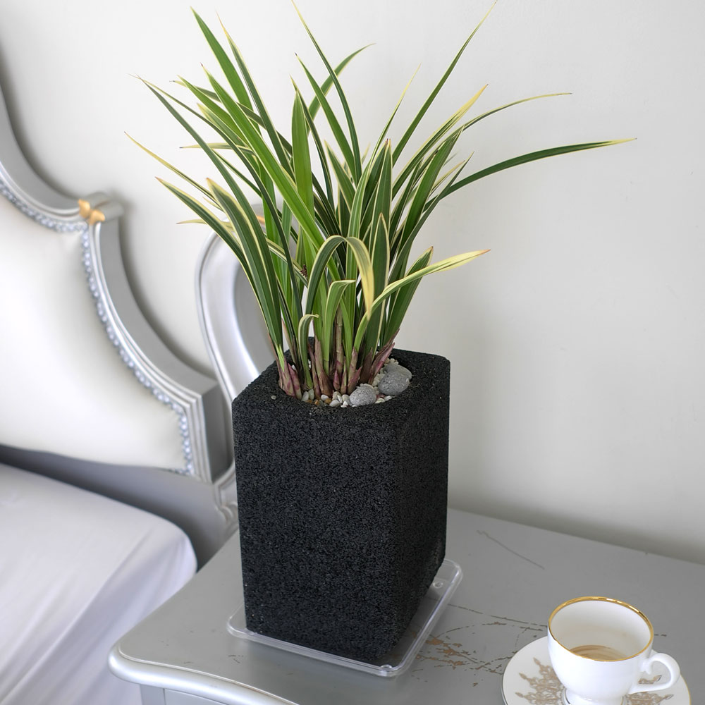 ü ӹ ϴ ǳ Ĺ - Ⱑ ٸ ִ  Ȳ(ȭ)