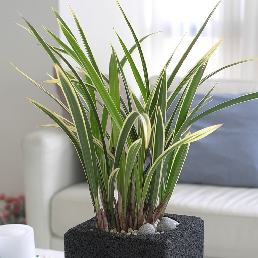 ü ӹ ϴ ǳ Ĺ - Ⱑ ٸ ִ  Ȳ(ȭ)