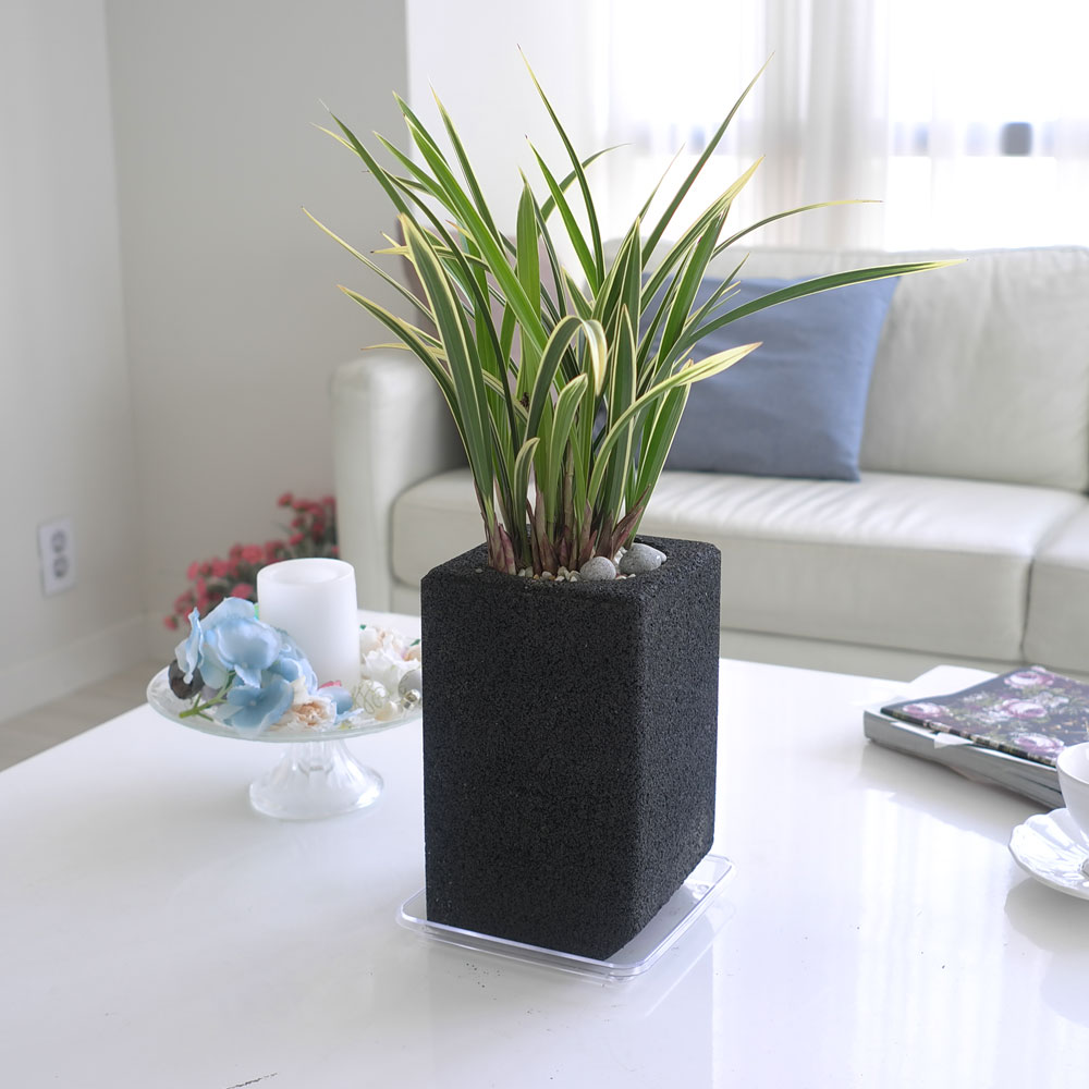 ü ӹ ϴ ǳ Ĺ - Ⱑ ٸ ִ  Ȳ(ȭ)