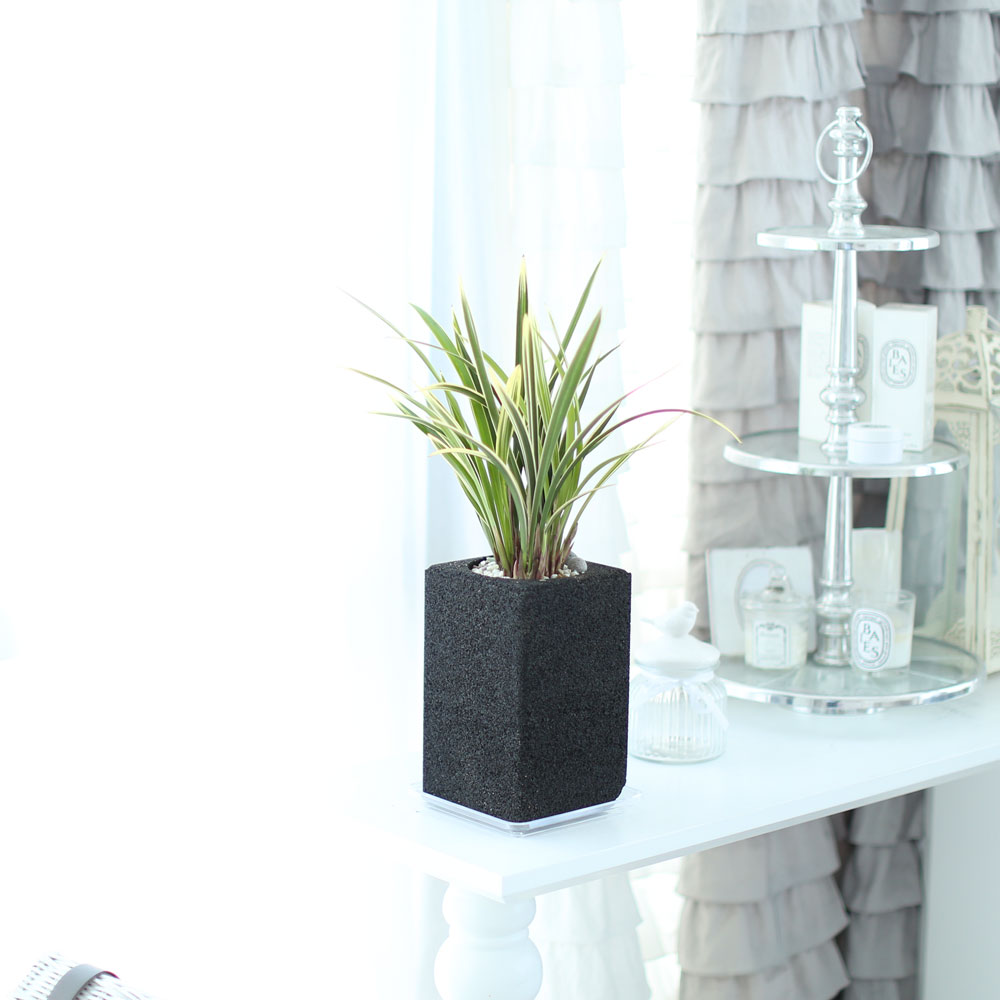 ü ӹ ϴ ǳ Ĺ - Ⱑ ٸ ִ  Ȳ(ȭ)