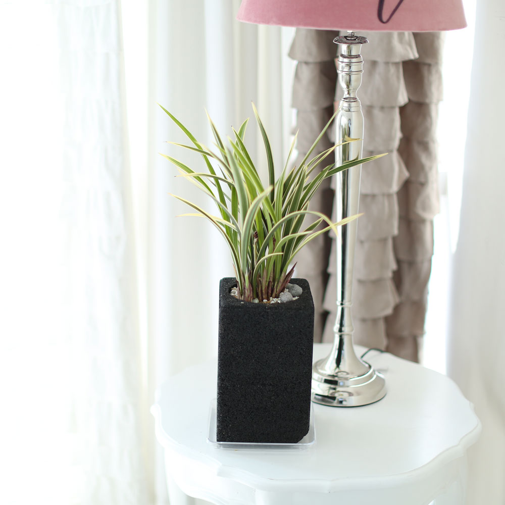 ü ӹ ϴ ǳ Ĺ - Ⱑ ٸ ִ  Ȳ(ȭ)