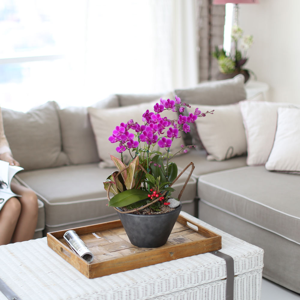 ü ӹ ϴ ǳ Ĺ - αⰡ   õ õȫ