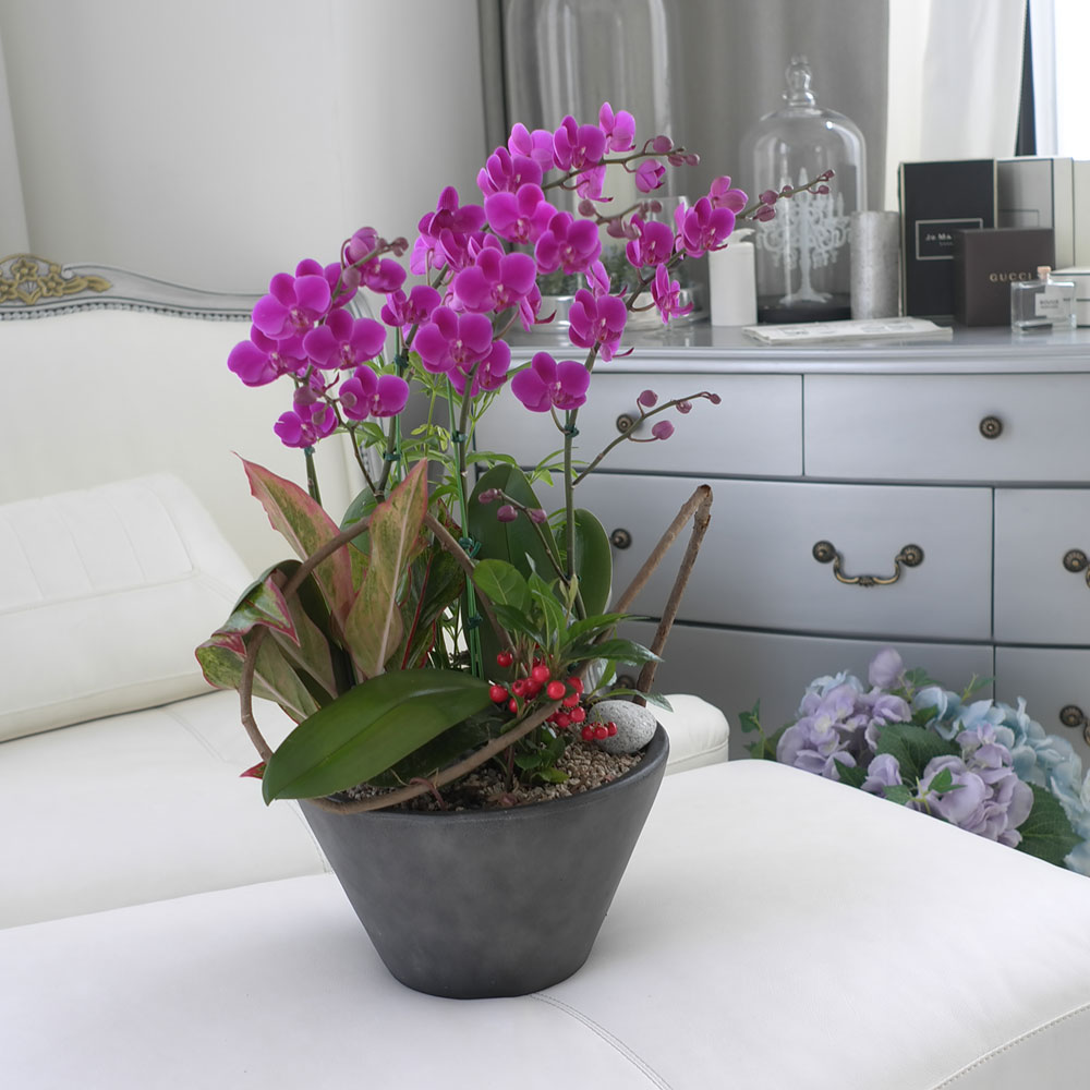 ü ӹ ϴ ǳ Ĺ - αⰡ   õ õȫ