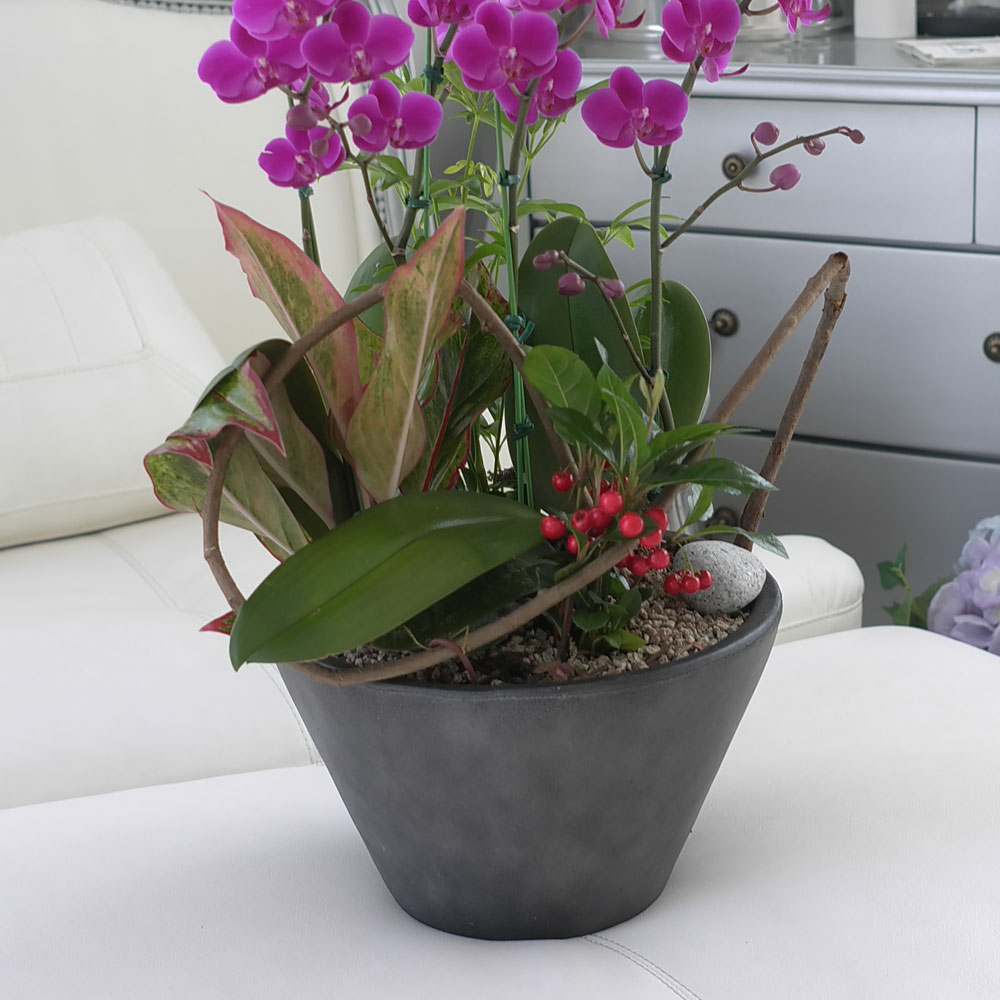 ü ӹ ϴ ǳ Ĺ - αⰡ   õ õȫ