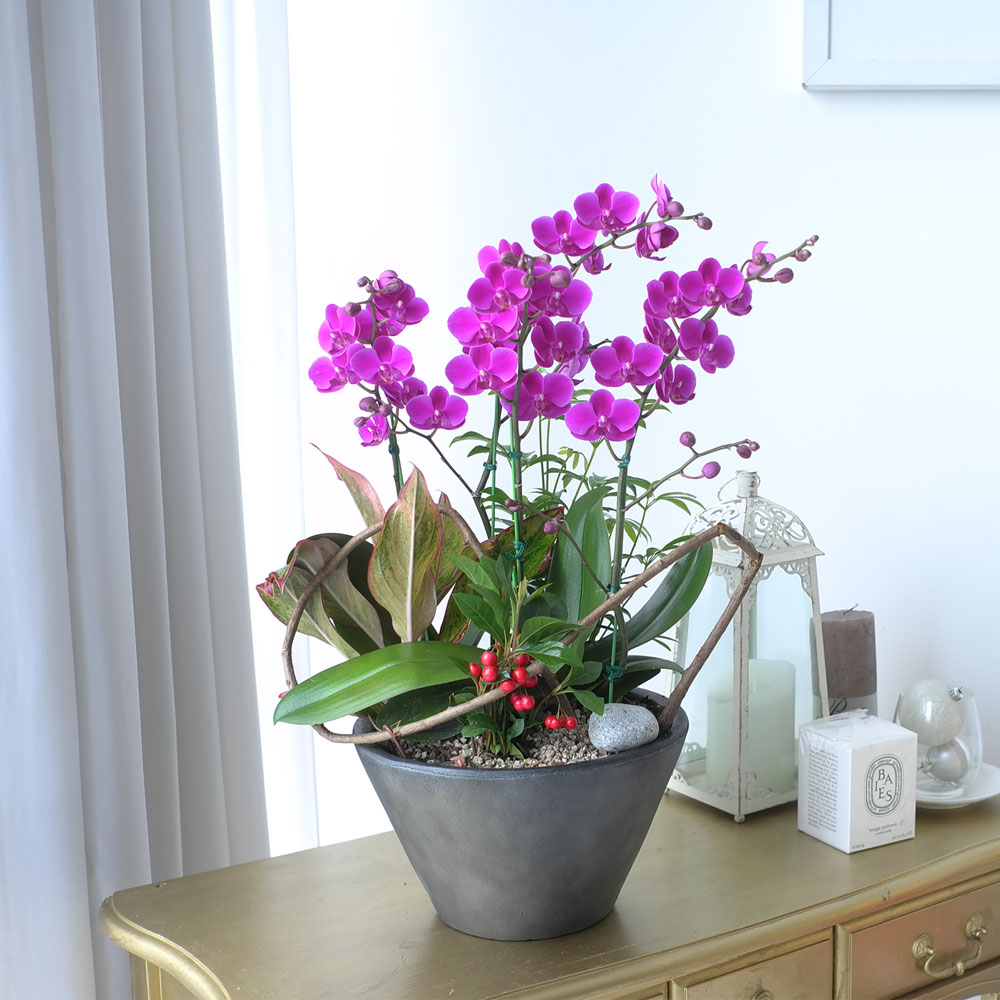 ü ӹ ϴ ǳ Ĺ - αⰡ   õ õȫ