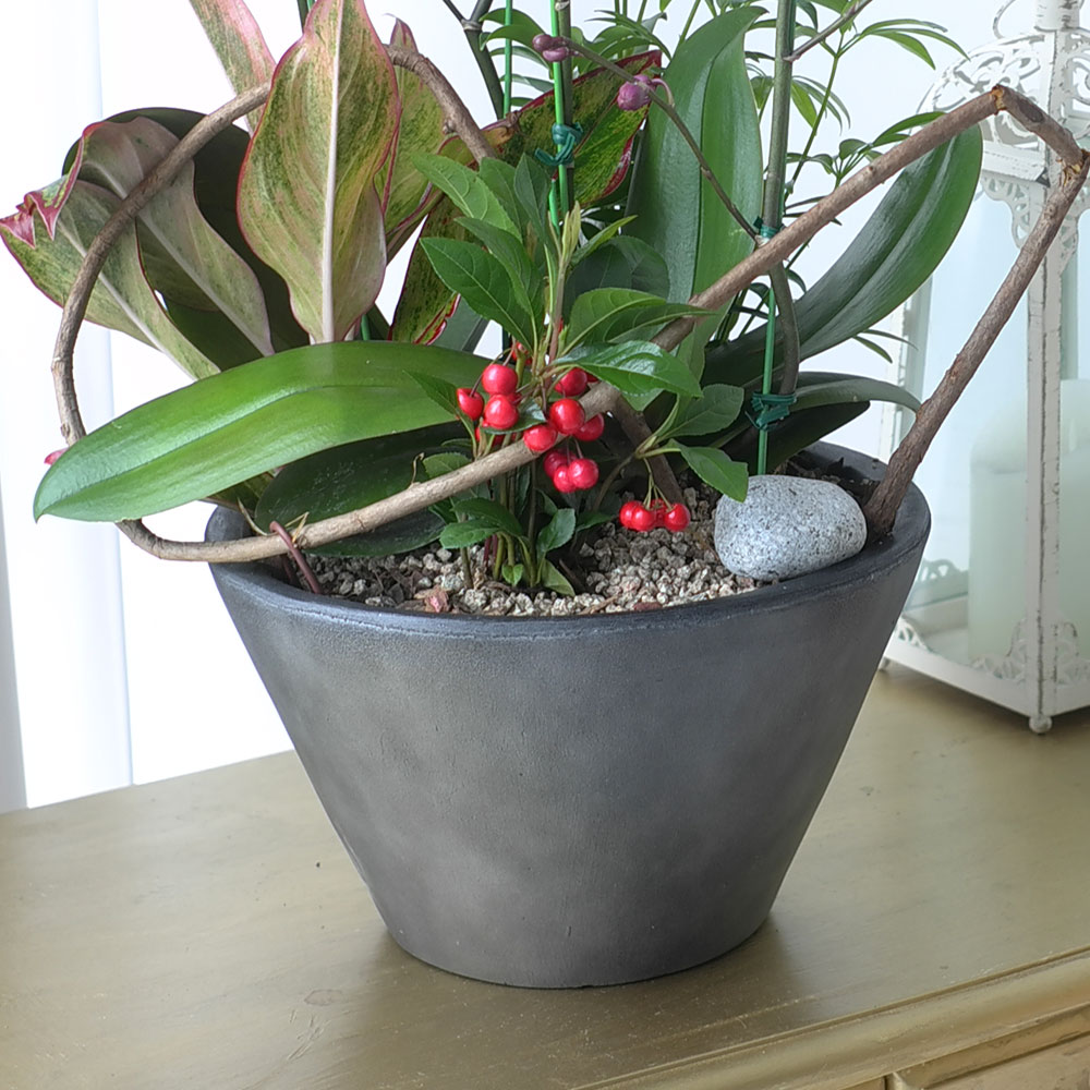 ü ӹ ϴ ǳ Ĺ - αⰡ   õ õȫ