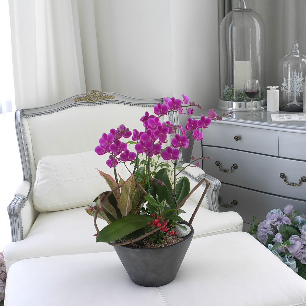 ü ӹ ϴ ǳ Ĺ - αⰡ   õ õȫ