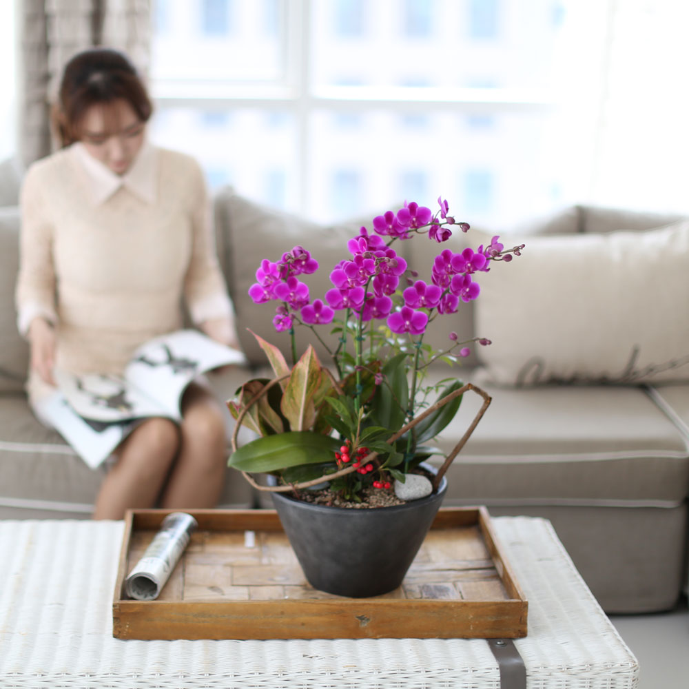 ü ӹ ϴ ǳ Ĺ - αⰡ   õ õȫ