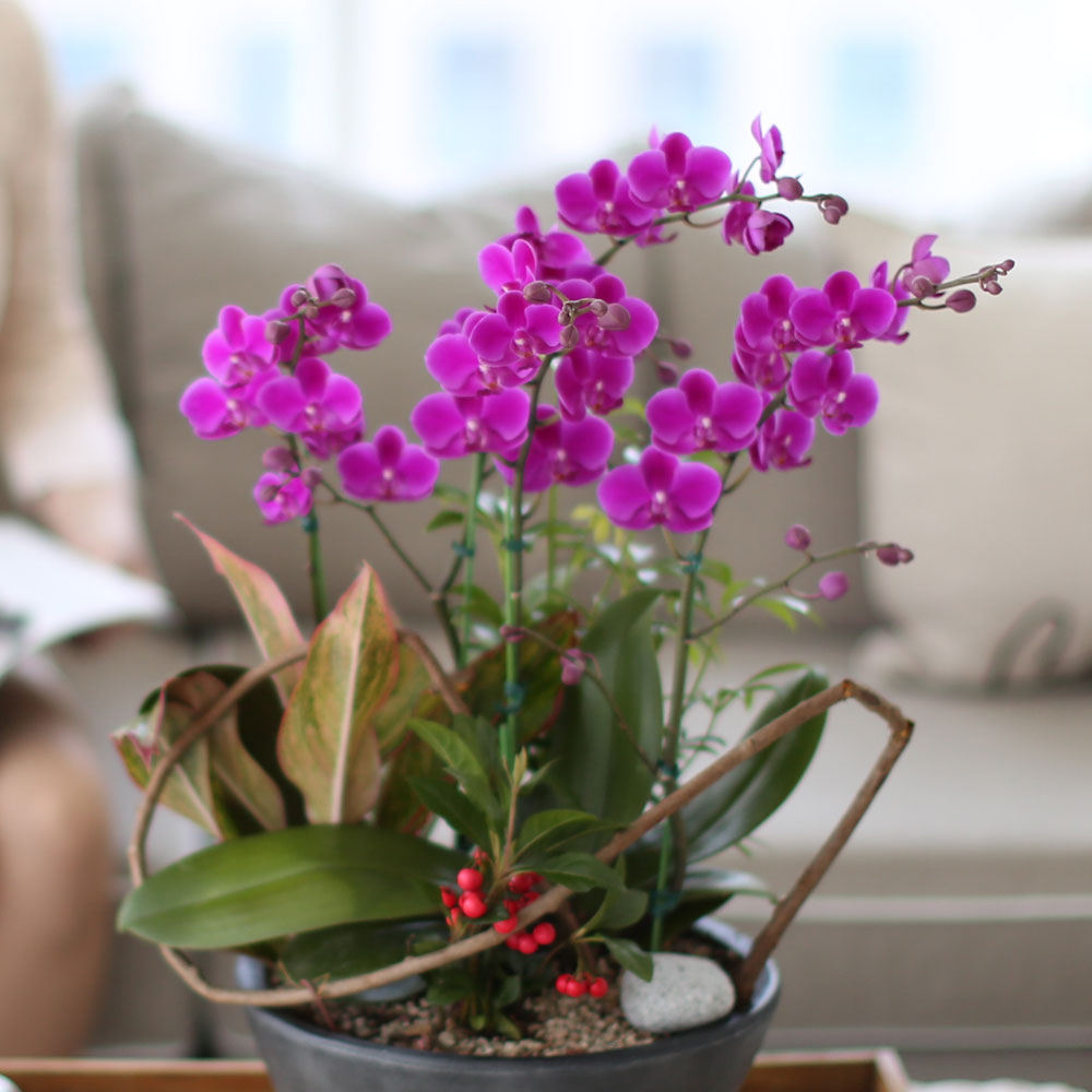 ü ӹ ϴ ǳ Ĺ - αⰡ   õ õȫ