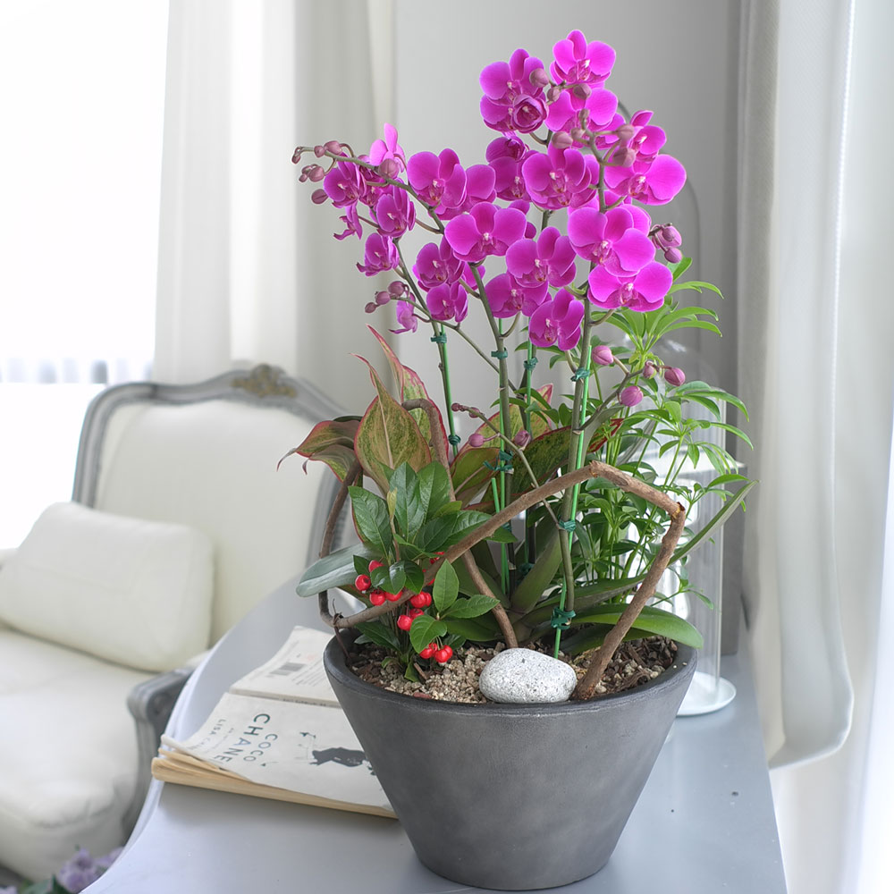 ü ӹ ϴ ǳ Ĺ - αⰡ   õ õȫ