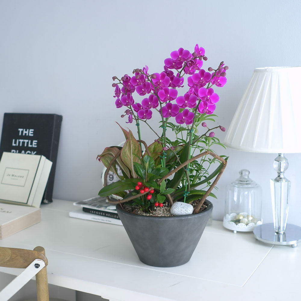 ü ӹ ϴ ǳ Ĺ - αⰡ   õ õȫ