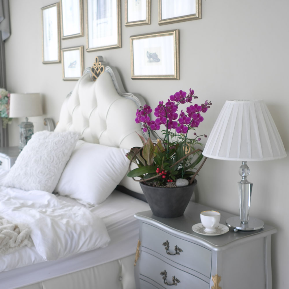 ü ӹ ϴ ǳ Ĺ - αⰡ   õ õȫ