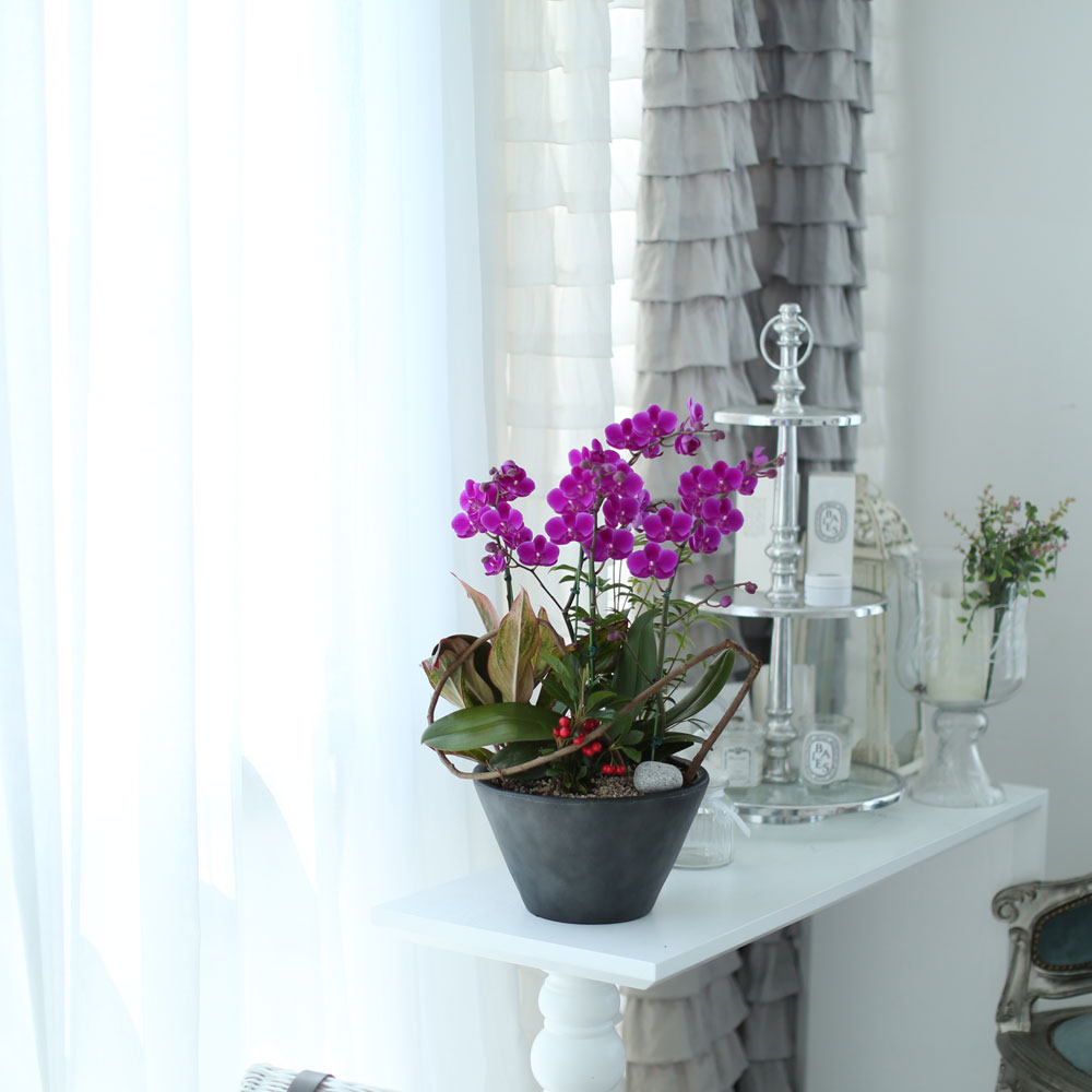 ü ӹ ϴ ǳ Ĺ - αⰡ   õ õȫ