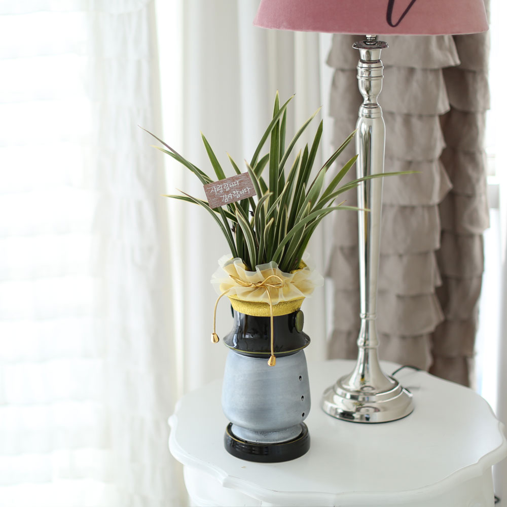 ü ӹ ϴ ǳ Ĺ -ǰִ ޵ (Ȳ) [ȭ⺯]