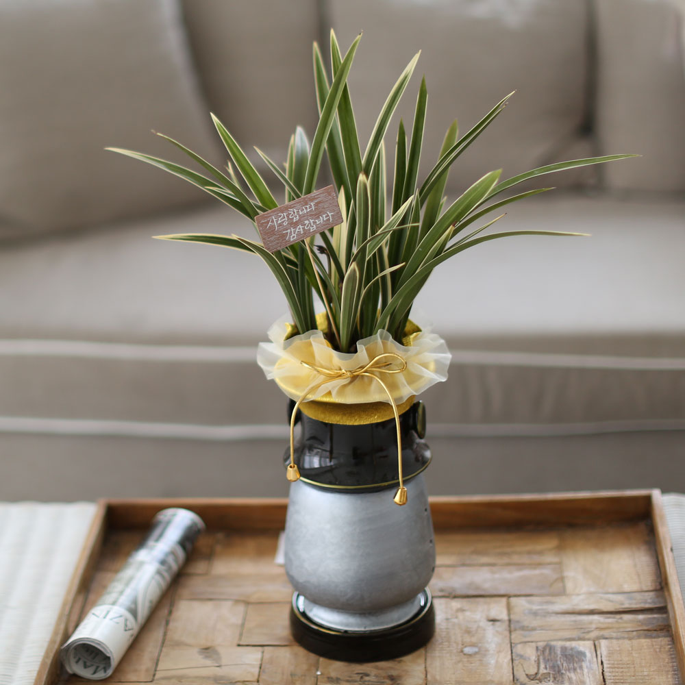 ü ӹ ϴ ǳ Ĺ -ǰִ ޵ (Ȳ) [ȭ⺯]