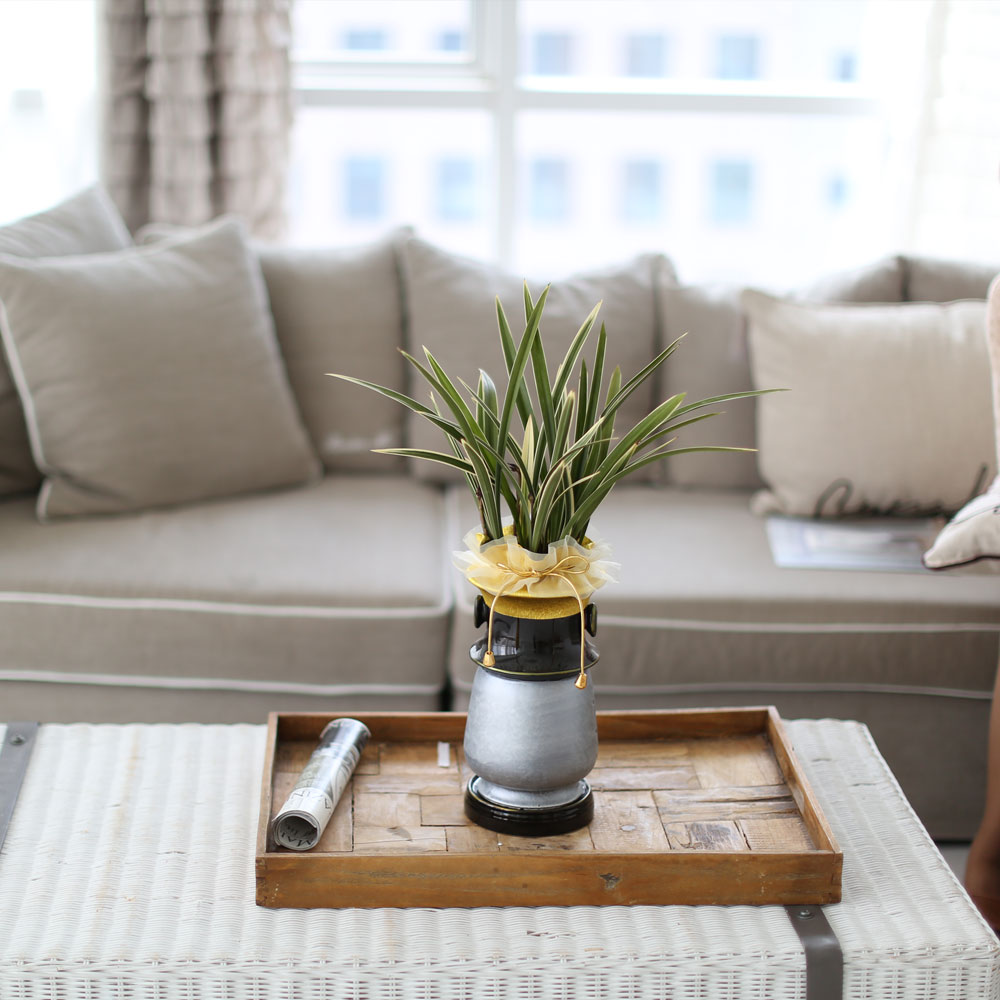 ü ӹ ϴ ǳ Ĺ -ǰִ ޵ (Ȳ) [ȭ⺯]