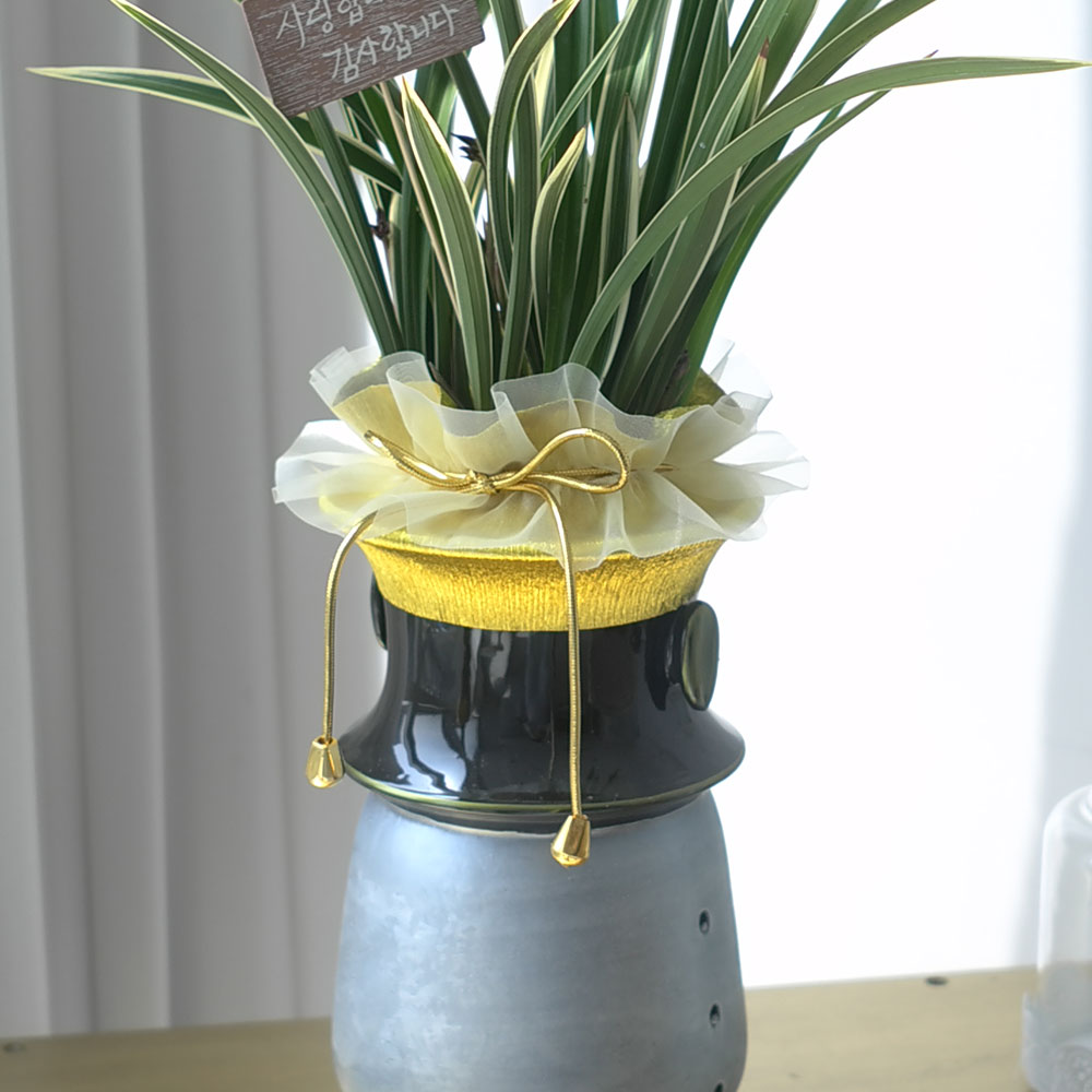 ü ӹ ϴ ǳ Ĺ -ǰִ ޵ (Ȳ) [ȭ⺯]