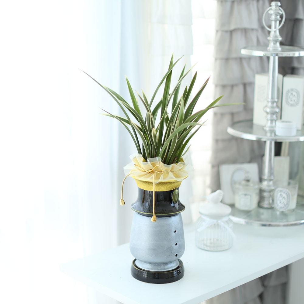 ü ӹ ϴ ǳ Ĺ -ǰִ ޵ (Ȳ) [ȭ⺯]