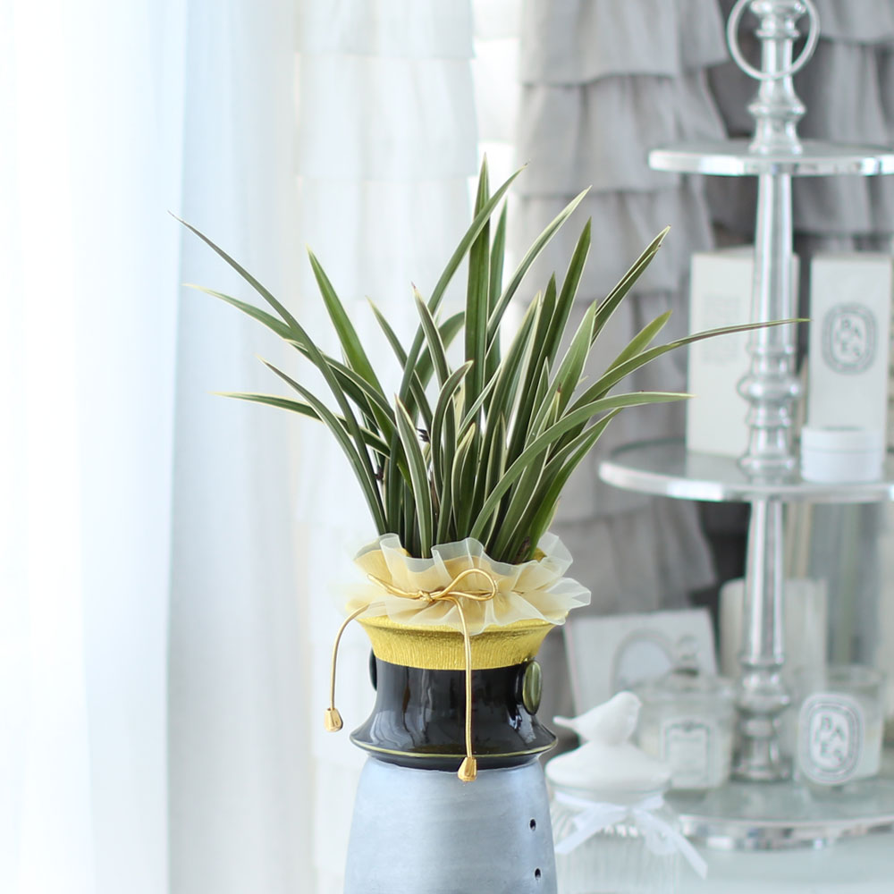 ü ӹ ϴ ǳ Ĺ -ǰִ ޵ (Ȳ) [ȭ⺯]