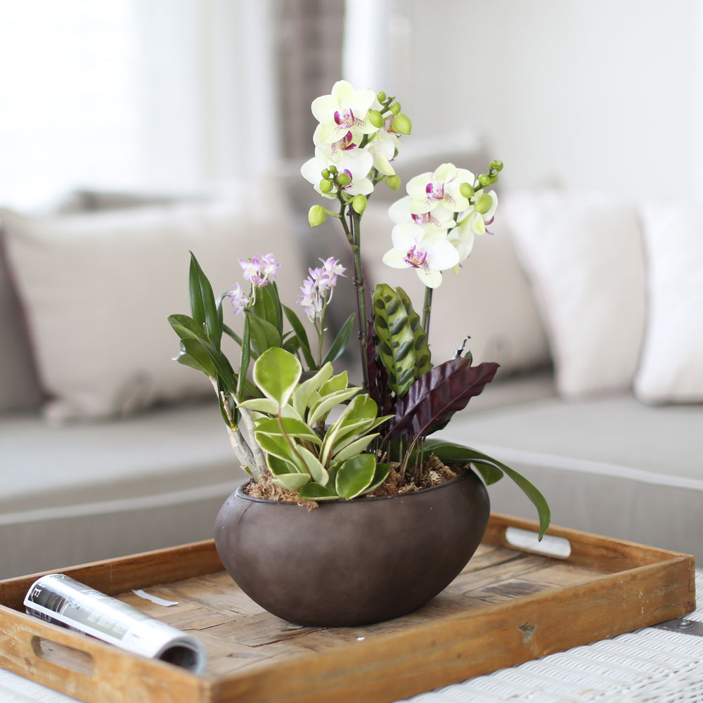 ü ӹ ϴ ǳ Ĺ - Ƹٿ  ׸