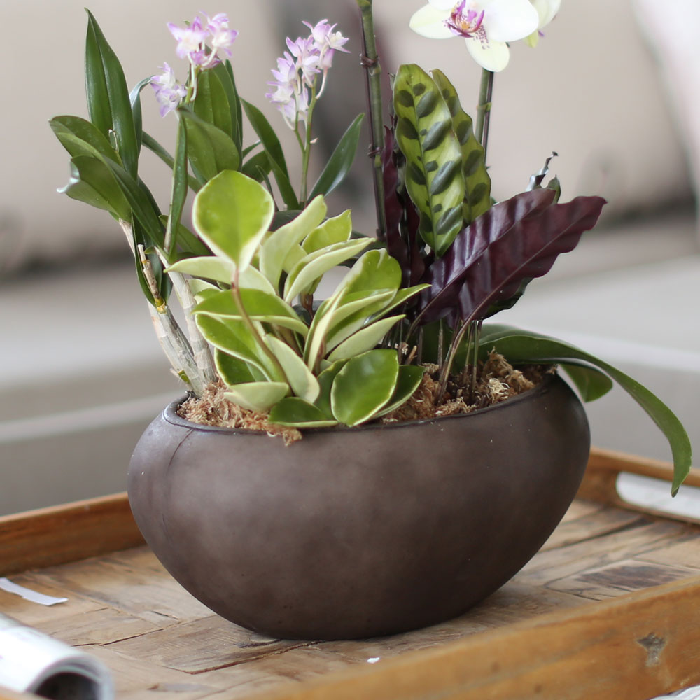 ü ӹ ϴ ǳ Ĺ - Ƹٿ  ׸