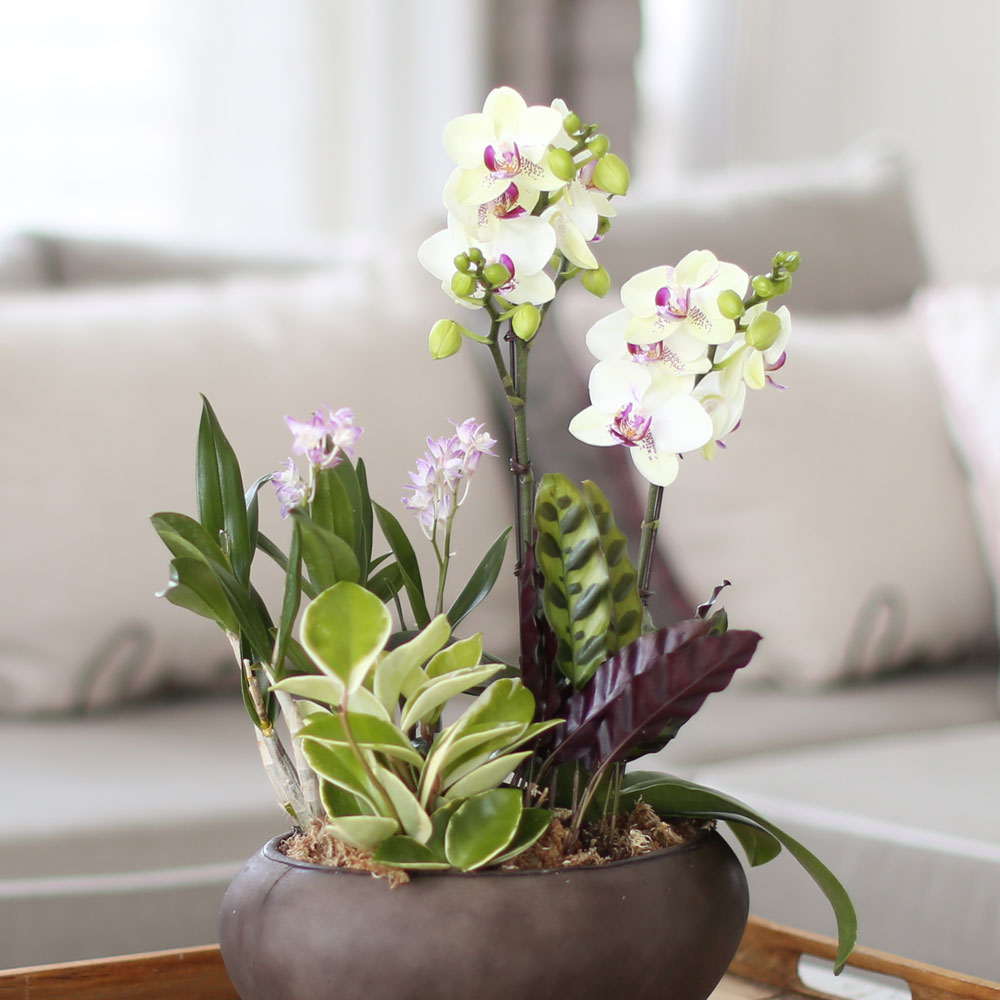 ü ӹ ϴ ǳ Ĺ - Ƹٿ  ׸