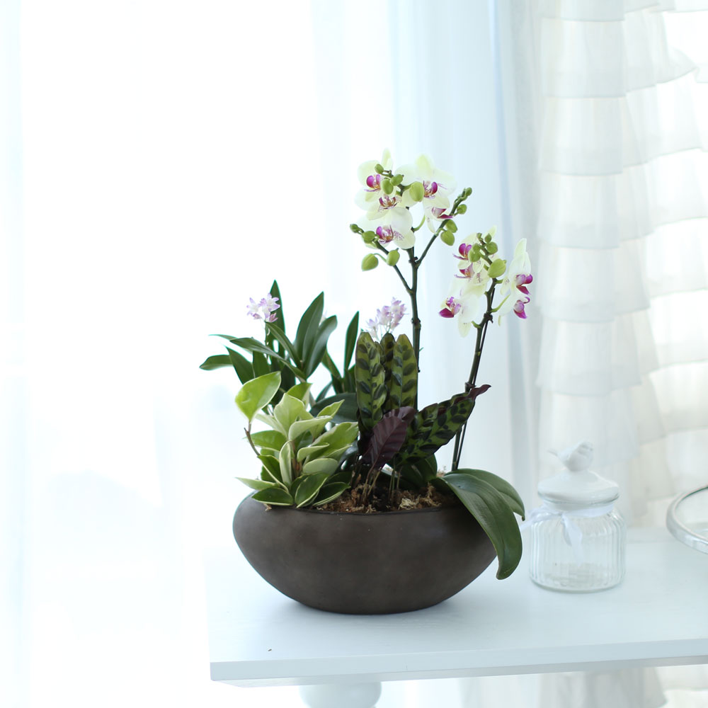 ü ӹ ϴ ǳ Ĺ - Ƹٿ  ׸