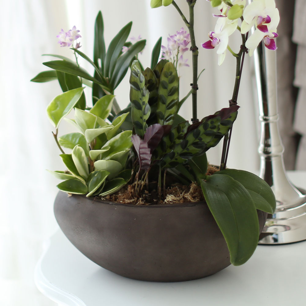 ü ӹ ϴ ǳ Ĺ - Ƹٿ  ׸